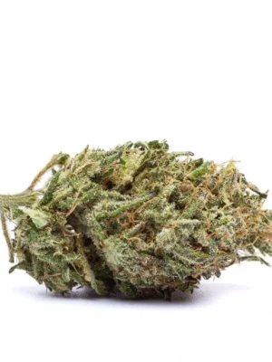 Mango X Zkittlez