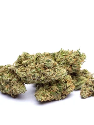 Mango X Zkittlez