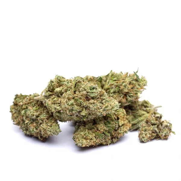 Mango X Zkittlez