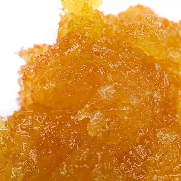WAX ZKITTLEZ