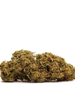 NYC Diesel