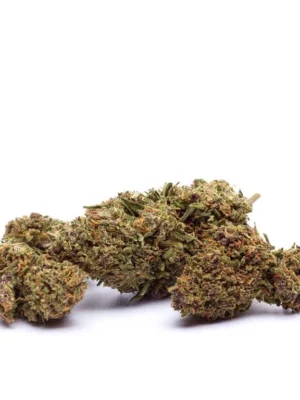 Orange Bud