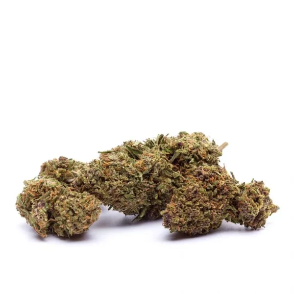 Orange Bud