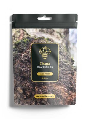 Tobolky s extraktem z čagy (Chaga)