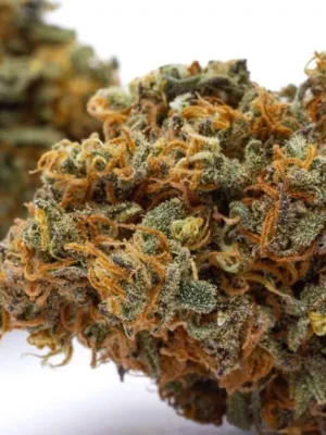 Girls Scout Cookies THX