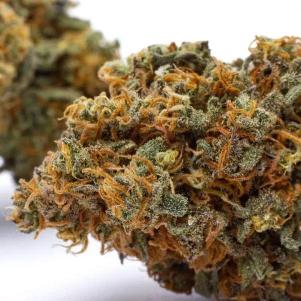 Girls Scout Cookies THX