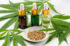 cbd-thc-vs-bezne-cbd-rozdil