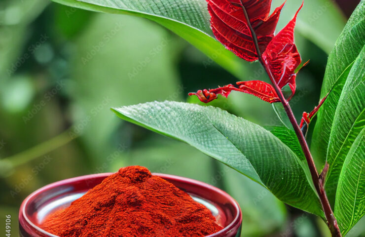 Červený kratom účinky, dávkování